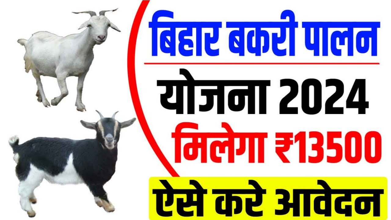 Bihar Bakri Palan Yojana 2024